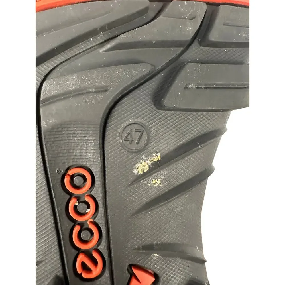 Ecco step into